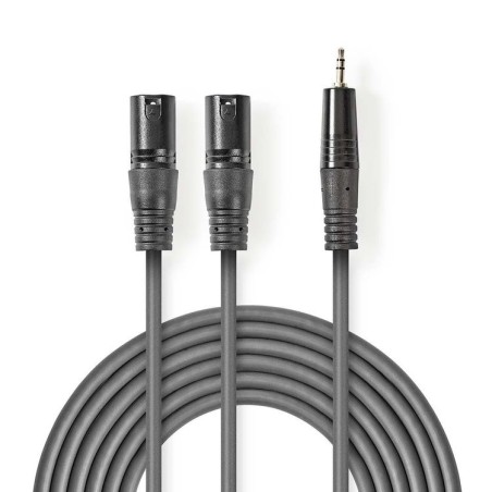 Cavo Audio XLR |2x Maschio a 3 Pin XLR-Maschio da 3,5 mm|3.0 m