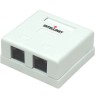 Presa a muro 2 prese RJ45 cat. 5E UTP Intellinet