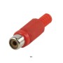 Connettore RCA Female PVC Rosso