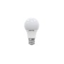 Lampada LED Bulb A60 12W attacco E27 - luce calda