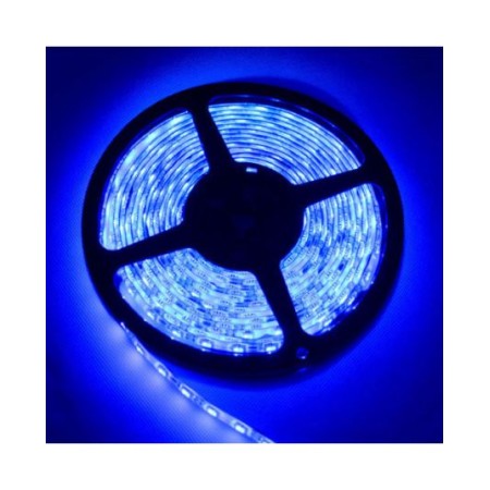 Striscia flessibile LED Blu SMD 5 metri