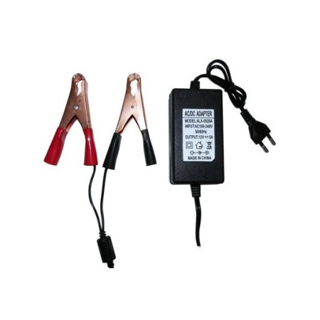 Caricabatterie 12V 5A per batterie al piombo