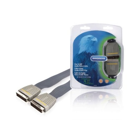 Cavo video SCART Maschio- Maschio 5.00 m Blu