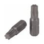 Inserto Torx T30 25mm