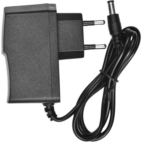 Alimentatore 5V 500 mAh