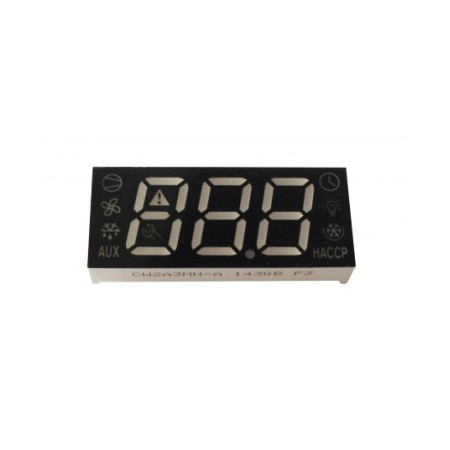 Display 12 PIN