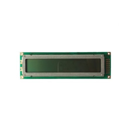 Display 100x28mm - L243200J000GT