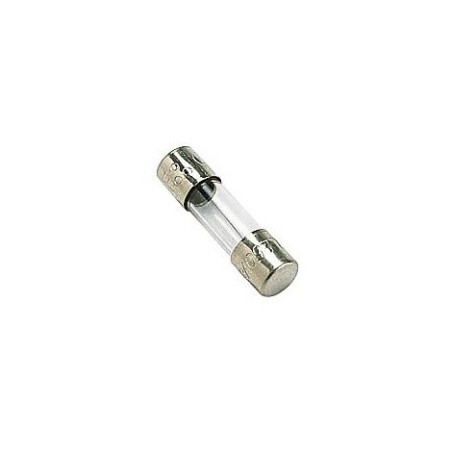 Fusibile ritardato 5x20mm 0.25A 250V - confezione da 10 pezzi