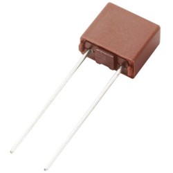 Fusibile radiale 1A 300V Intervallo di tempo T Littelfuse