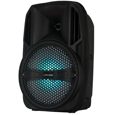 Cassa acustica portatile 8" 20W Luce LED Bluetooth/Radio/USB