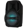 Cassa acustica portatile 8" 20W Luce LED Bluetooth/Radio/USB